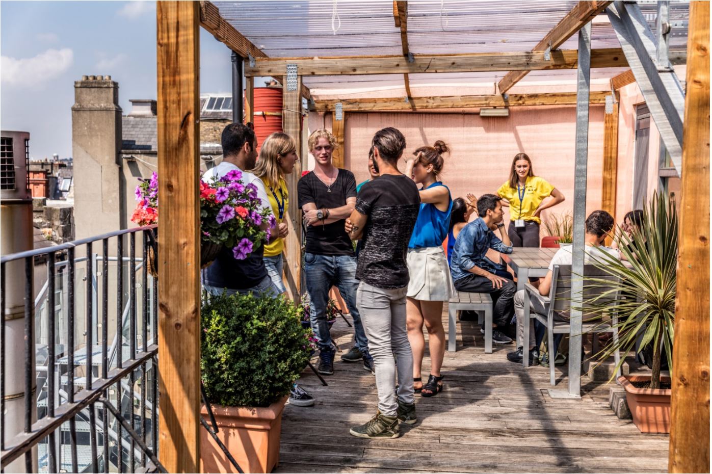 Rooftoop Garden